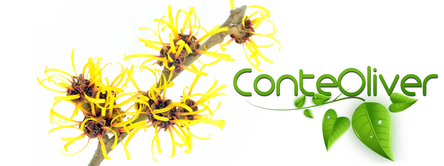 You are currently viewing HAMAMELIS contorno occhi assolutamente naturale