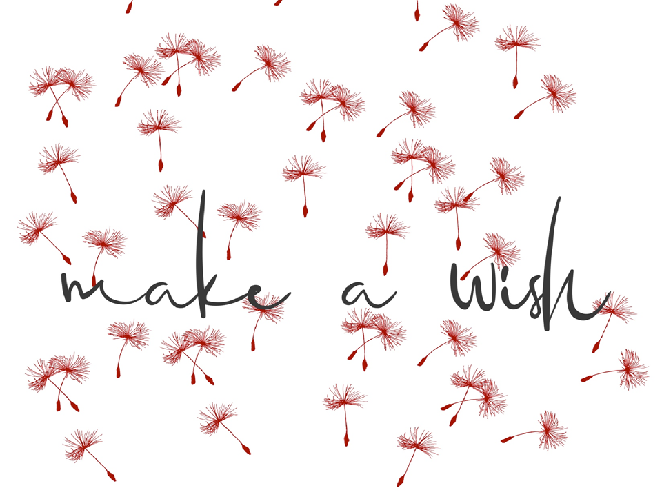 logo make a wish